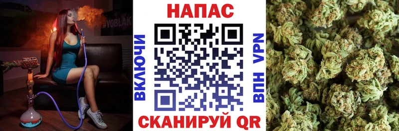 Каннабис гибрид  закладка  Шелехов 